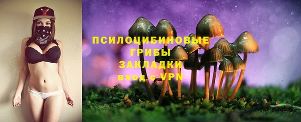 стафф Алексин