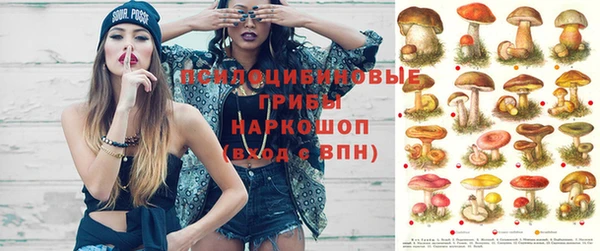 кристаллы Абаза